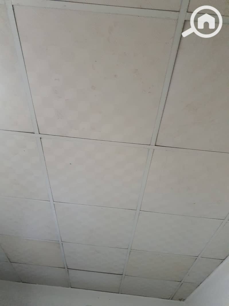 8 1000329609. jpg