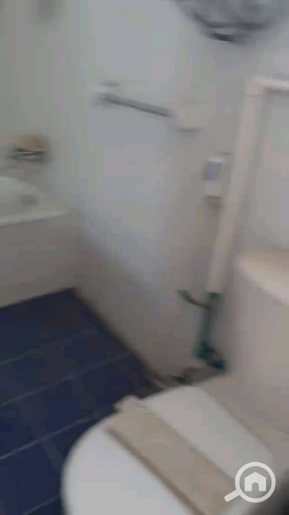 17 vf_VID-20261013-WA0018_176000. jpeg