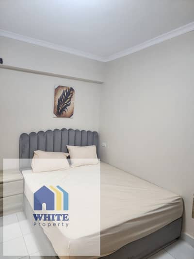 2 Bedroom Apartment for Rent in Dokki, Giza - 1001116224. jpg 2 Bedroom Apartment for Rent in Dokki, Giza - 1001116224. jpg