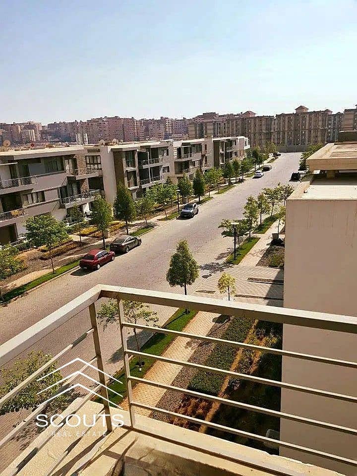 3 49481194-800x600. jpg