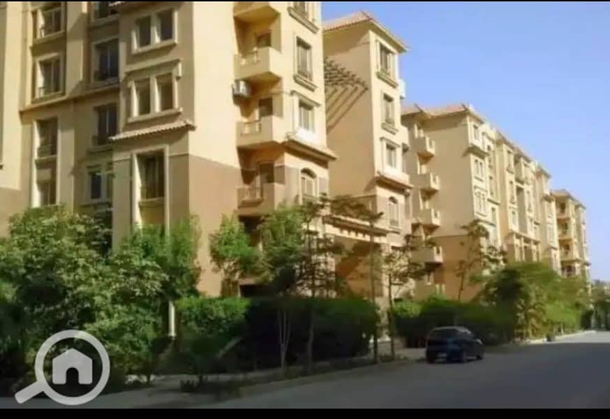 5 WhatsApp Image 2026-10-14 at 4.52. 44 PM (2). jpeg