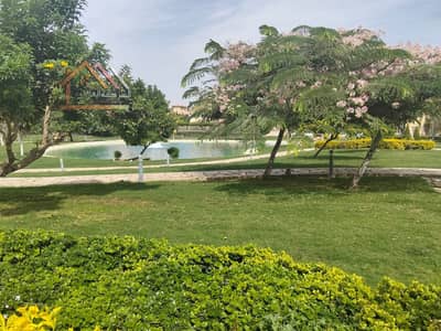 5 Bedroom Villa for Sale in Madinaty, Cairo - WhatsApp Image 2026-10-14 at 17.20. 53 (2). jpeg 5 Bedroom Villa for Sale in Madinaty, Cairo - WhatsApp Image 2026-10-14 at 17.20. 53 (2). jpeg