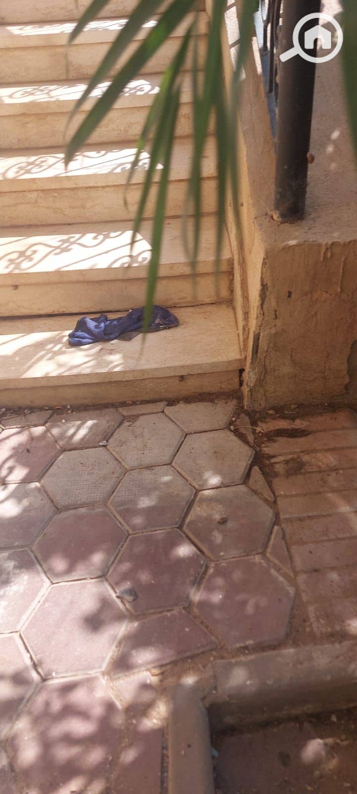 10 WhatsApp Image 2026-08-15 at 3.37. 40 PM (2). jpeg