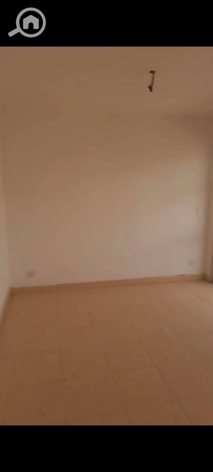 20 1001075593. jpg