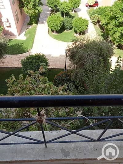 2 Bedroom Flat for Rent in New Cairo, Cairo - 1003015054. jpg 2 Bedroom Flat for Rent in New Cairo, Cairo - 1003015054. jpg