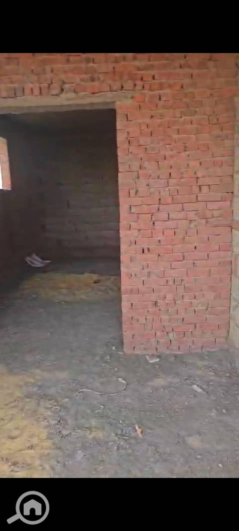 5 137861. jpg