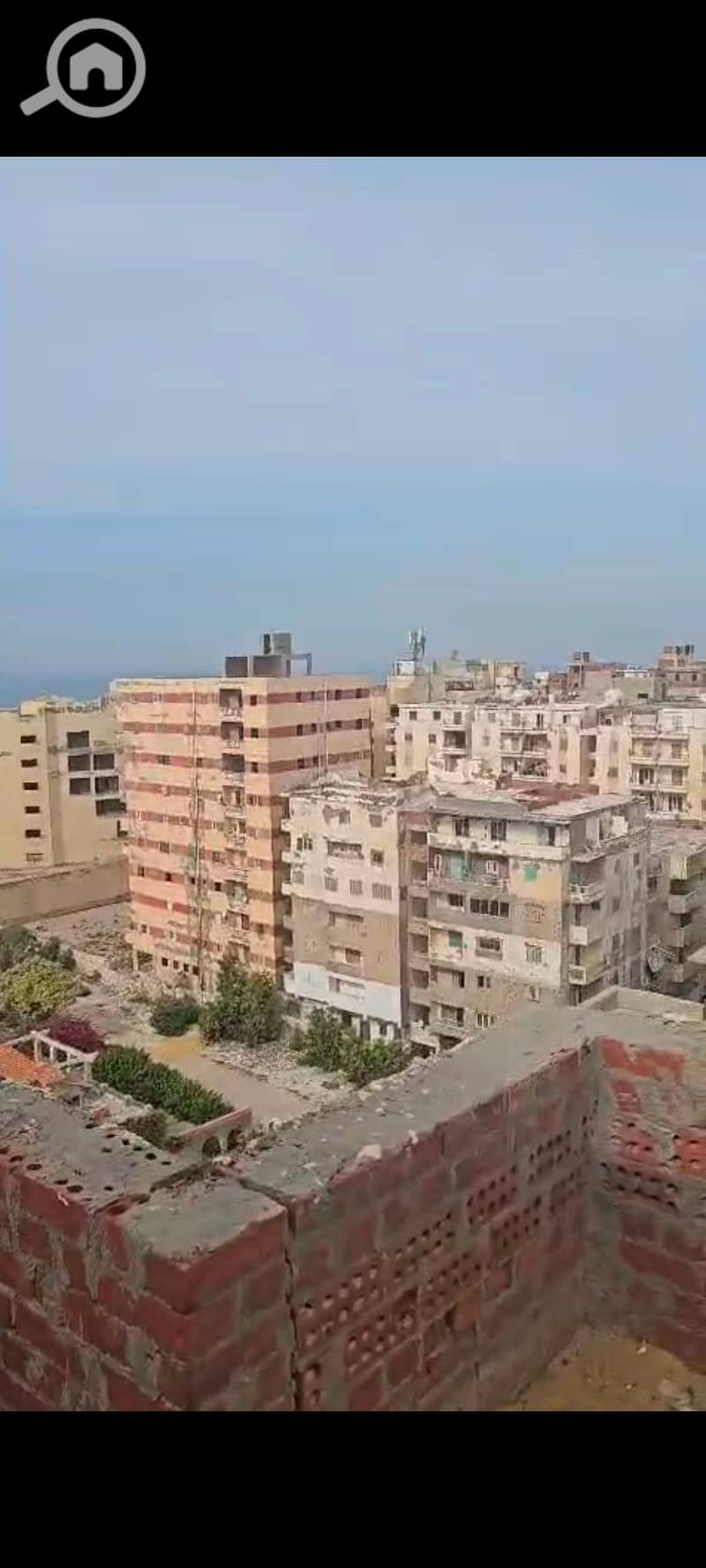 9 137857. jpg