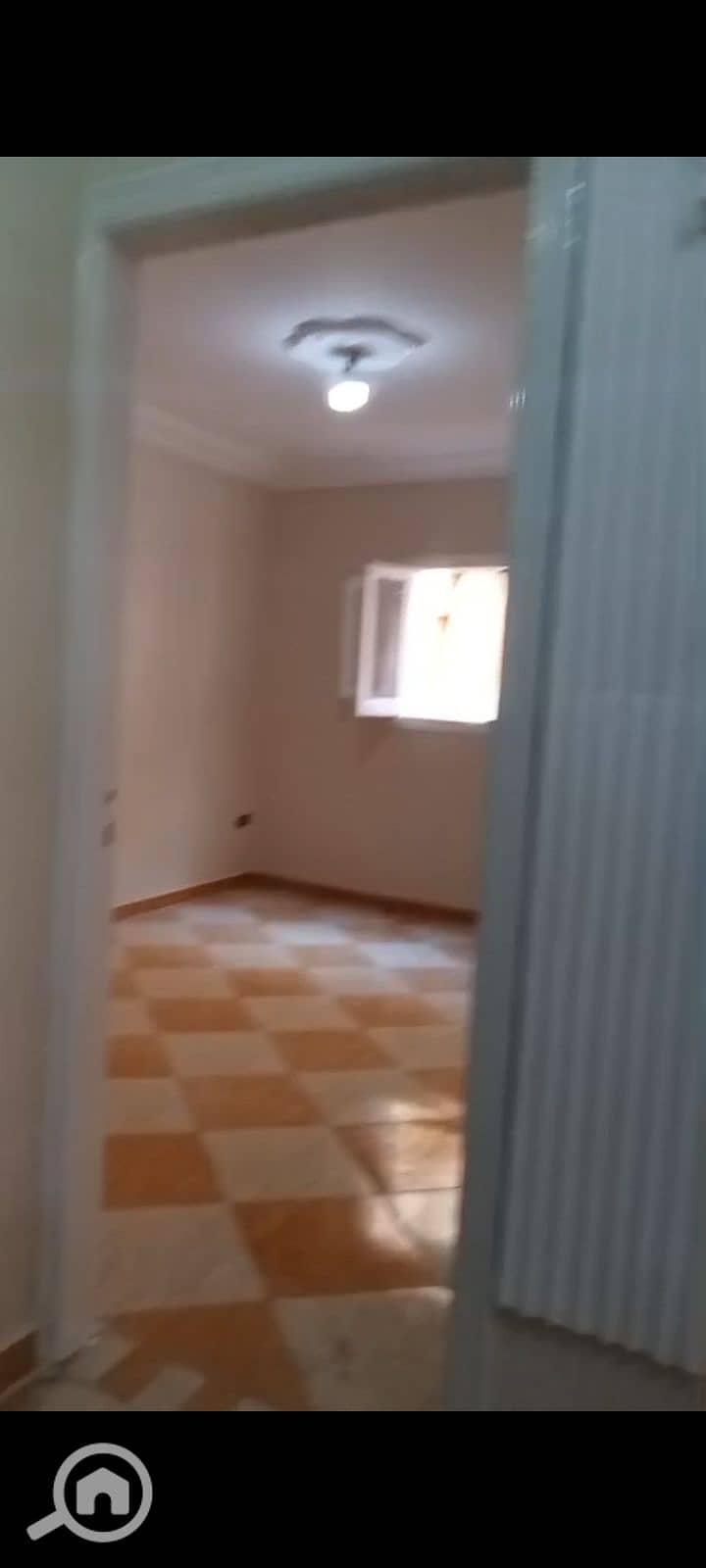3 1000983160. jpg