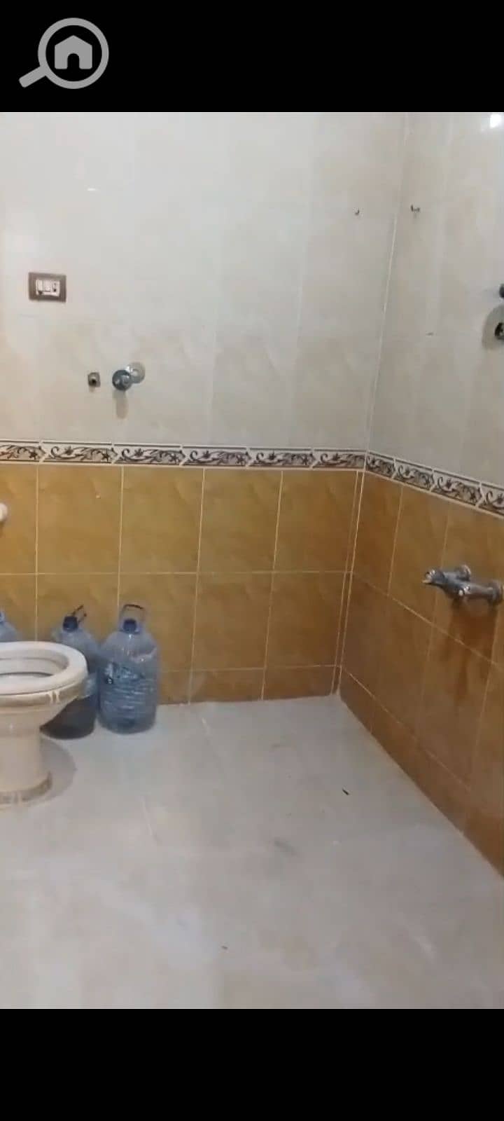 7 1000983164. jpg