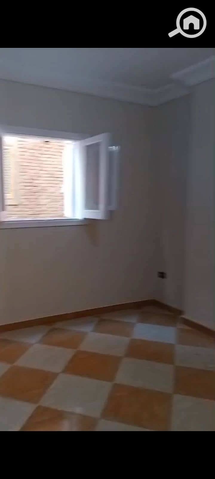11 1000983168. jpg