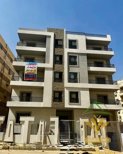 3 Bedroom Flat for Rent in New Cairo, Cairo - 1001317931. jpg 3 Bedroom Flat for Rent in New Cairo, Cairo - 1001317931. jpg