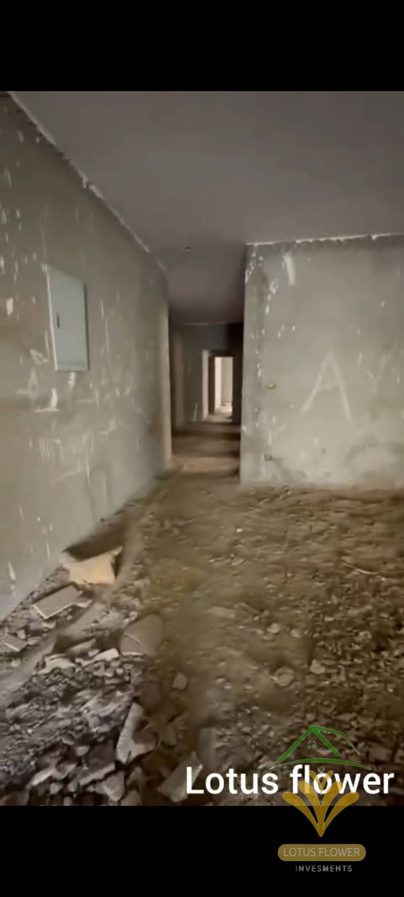 4 1001317944. jpg