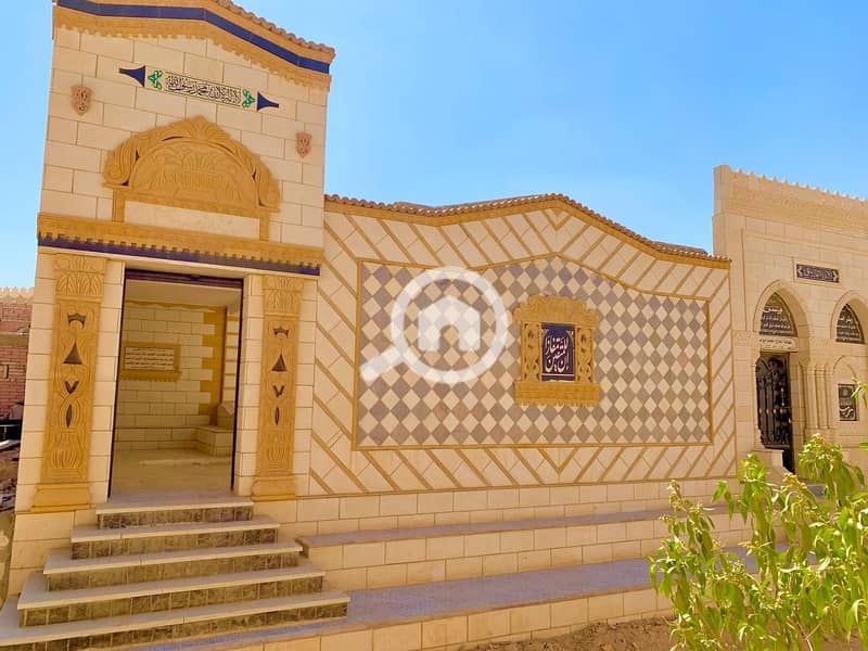 3 1000020559. jpg