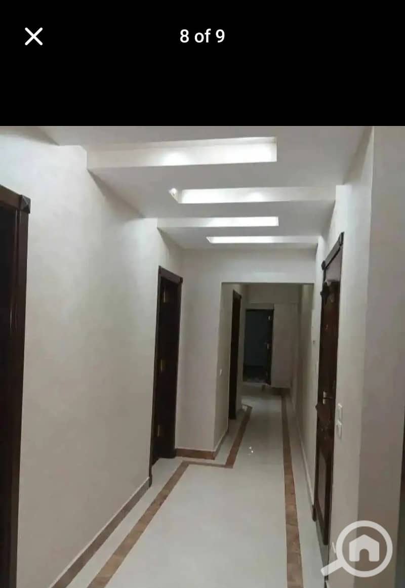 4 164528. jpg