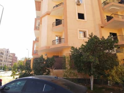 3 Bedroom Flat for Rent in New Cairo, Cairo - 1000887739. jpg 3 Bedroom Flat for Rent in New Cairo, Cairo - 1000887739. jpg