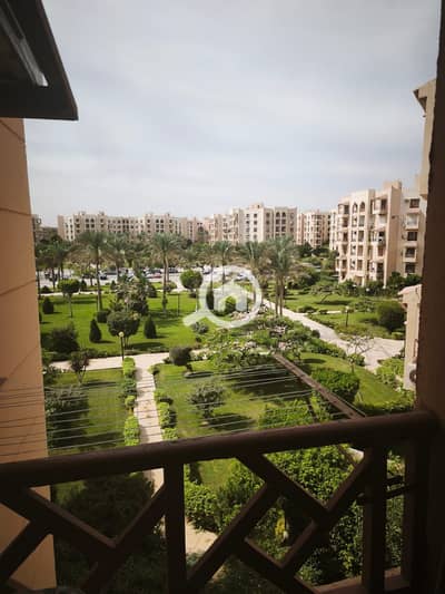2 Bedroom Flat for Rent in New Cairo, Cairo - 1000858772. jpg