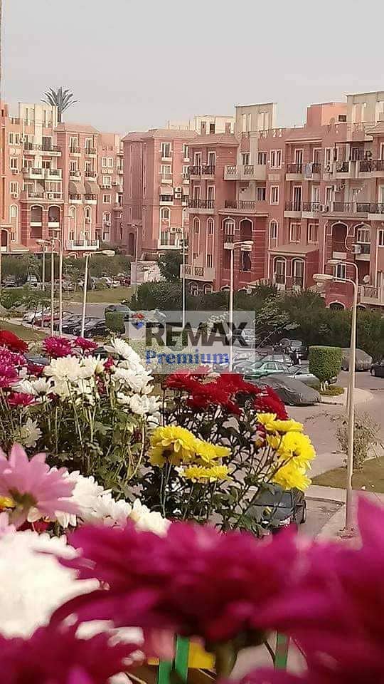 5 WhatsApp Image 2026-10-15 at 3.06. 16 AM (2). jpeg