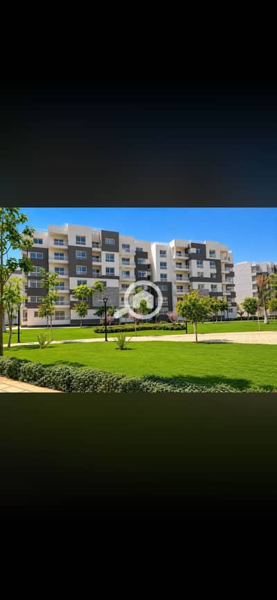 3 Bedroom Flat for Rent in Madinaty, Cairo - IMG_8661. png