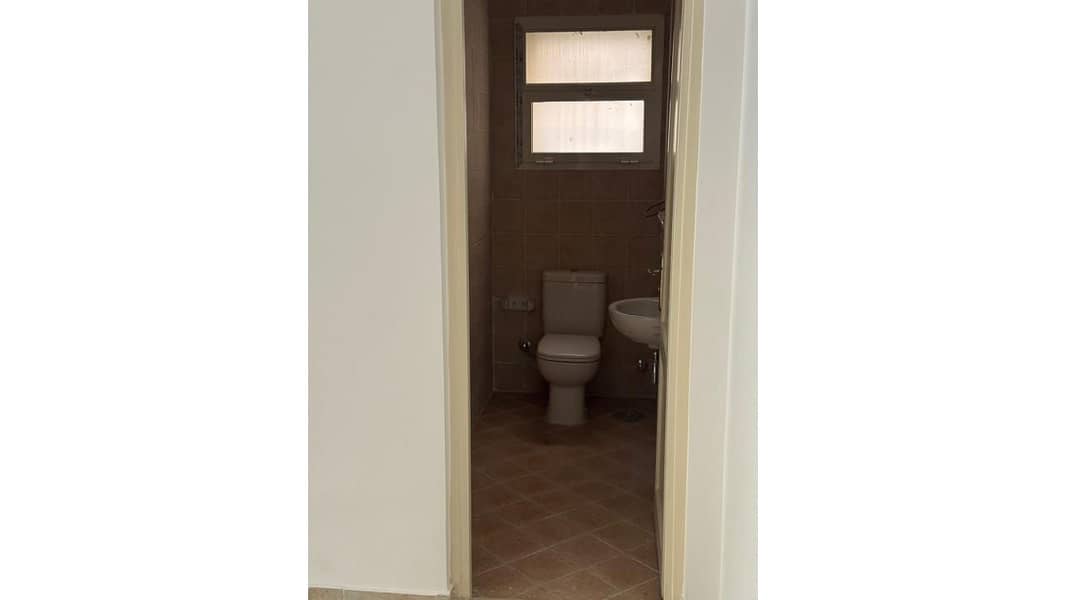 8 37673. jpg