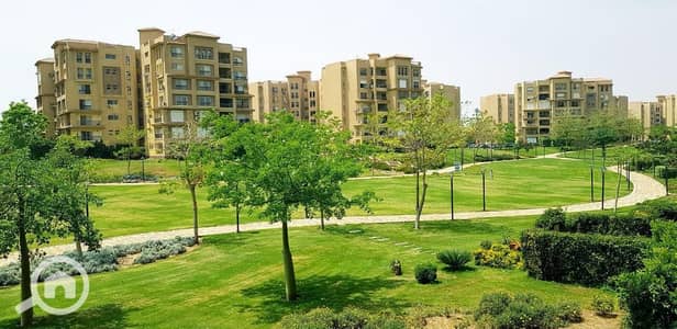 4 Bedroom Apartment for Sale in Madinaty, Cairo - WhatsApp Image 2026-10-15 at 11.45. 32 AM (2). jpeg