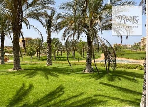 5 03. jpg