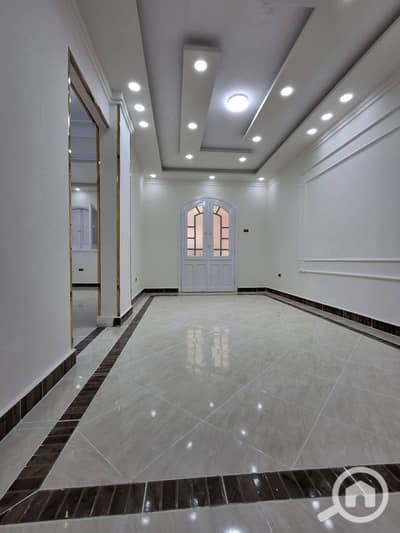 شقة 2 غرفة نوم للبيع في النخيل، الإسكندرية - 1000531818. jpg شقة 2 غرفة نوم للبيع في النخيل، الإسكندرية - 1000531818. jpg
