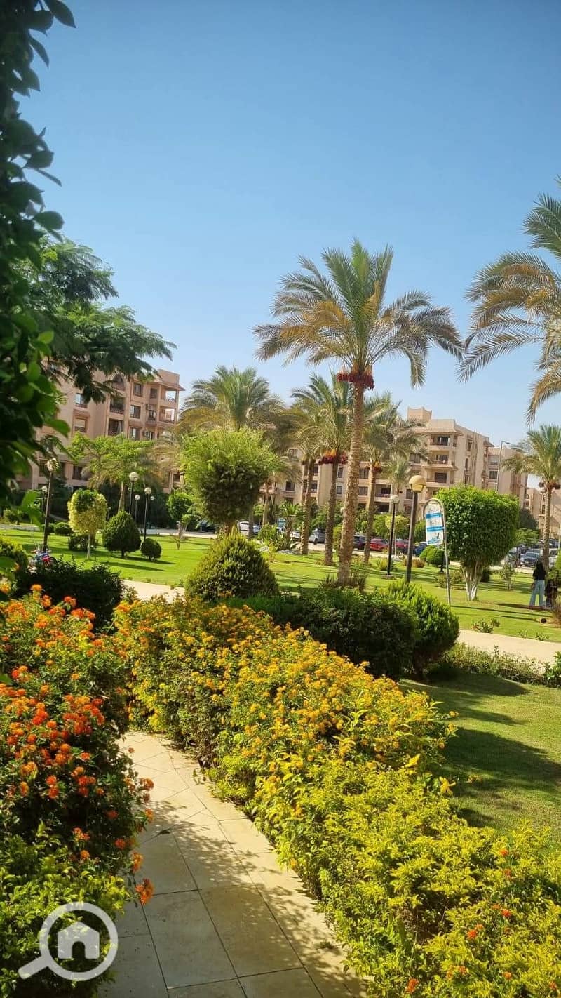 9 1001298968. jpg