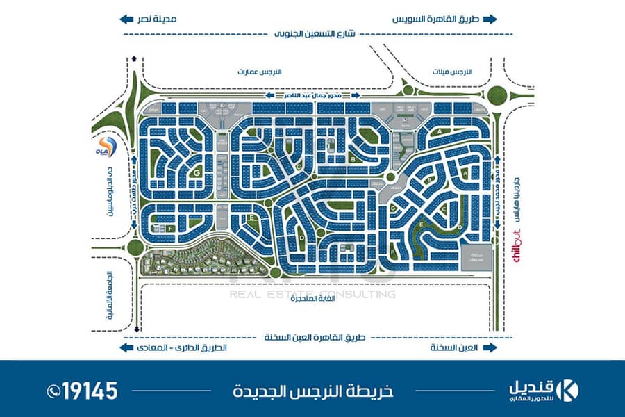 6 النرجس-الجديدة. jpg