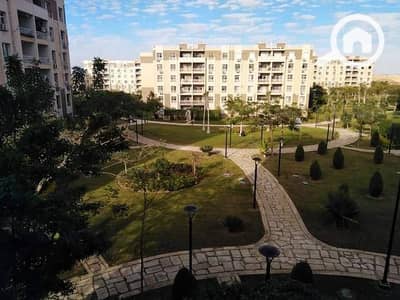 2 Bedroom Apartment for Rent in Madinaty, Cairo - 775260420_122116814979312797_3294424962410845351_n. jpg
