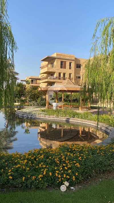 3 Bedroom Flat for Sale in New Cairo, Cairo - WhatsApp Image 2026-10-15 at 12.43. 33 PM (2). jpeg 3 Bedroom Flat for Sale in New Cairo, Cairo - WhatsApp Image 2026-10-15 at 12.43. 33 PM (2). jpeg