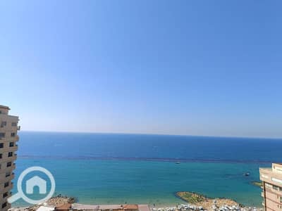 فلیٹ 2 غرفة نوم للايجار في العصافرة، الإسكندرية - WhatsApp Image 2026-10-15 at 13.03. 31 (3). jpeg فلیٹ 2 غرفة نوم للايجار في العصافرة، الإسكندرية - WhatsApp Image 2026-10-15 at 13.03. 31 (3). jpeg