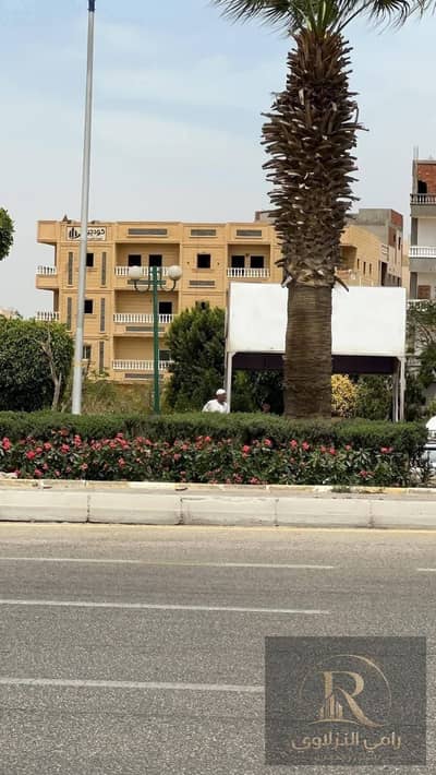 3 Bedroom Flat for Sale in Badr City, Cairo - WhatsApp Image 2026-09-24 at 1.03. 22 PM. jpeg 3 Bedroom Flat for Sale in Badr City, Cairo - WhatsApp Image 2026-09-24 at 1.03. 22 PM. jpeg
