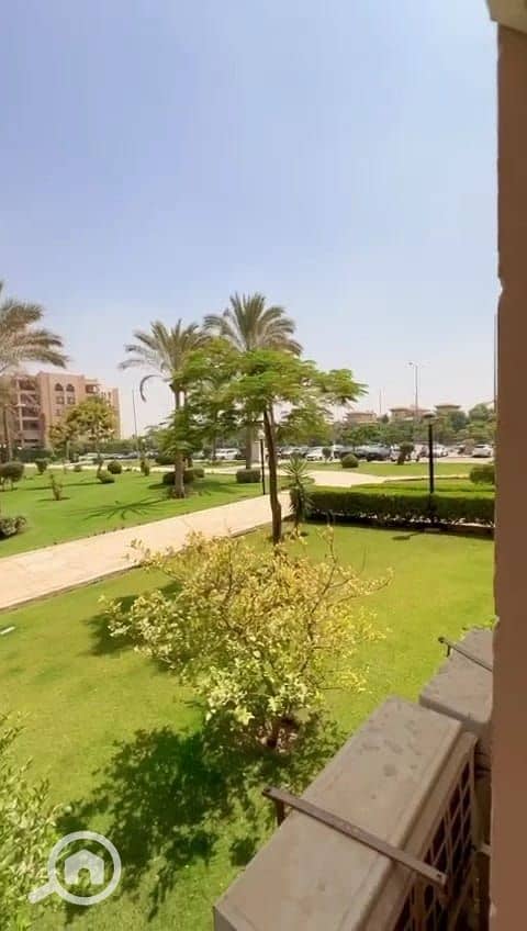 6 11. jpg