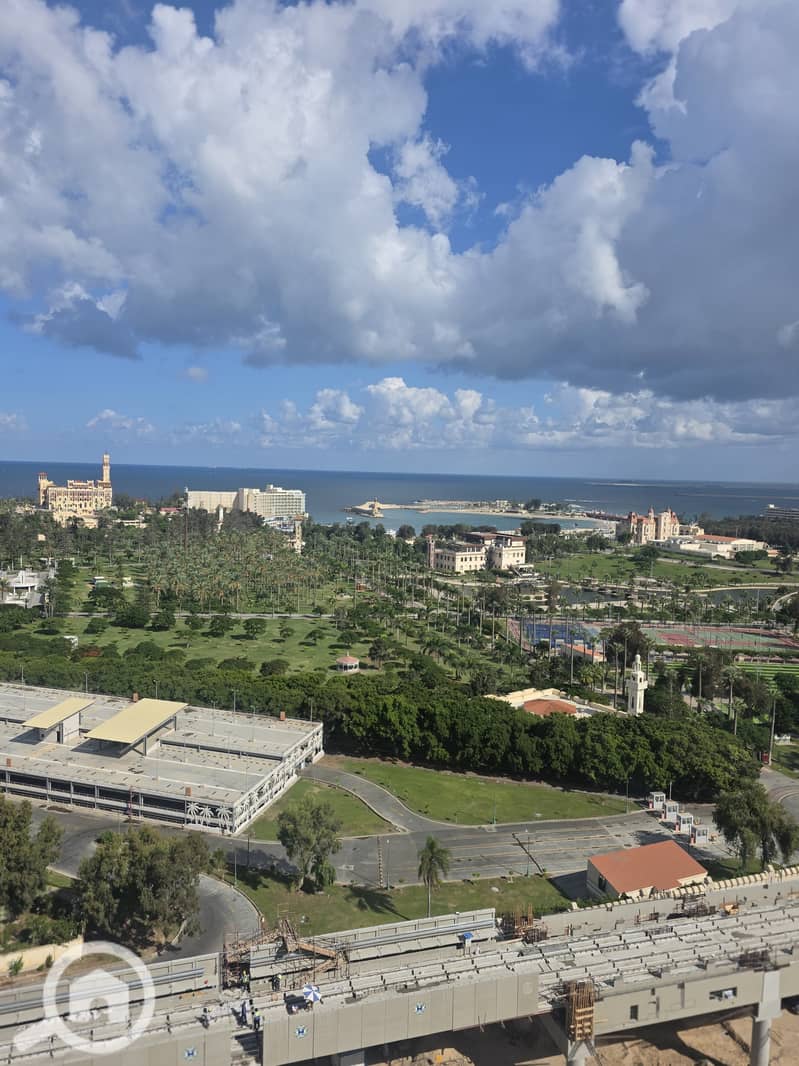 4 214540. jpg