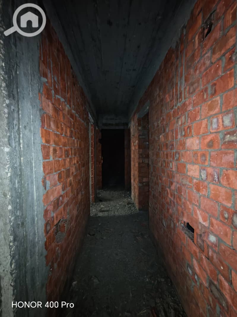 3 306718. jpg