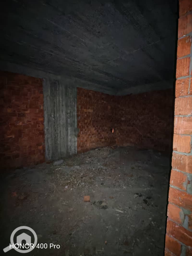 7 306727. jpg