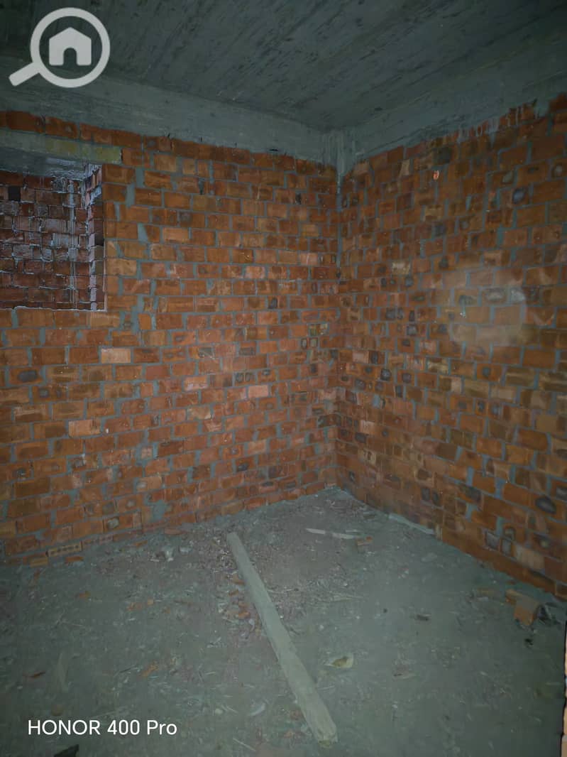 10 306737. jpg