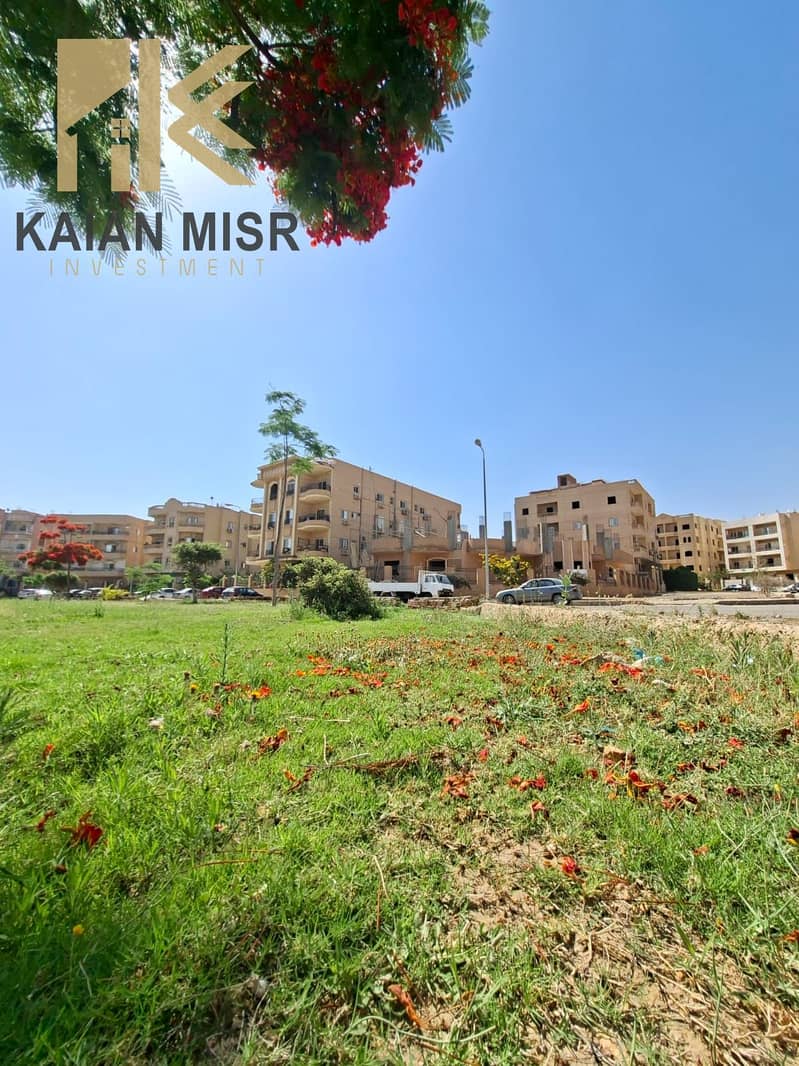 3 91796. jpg