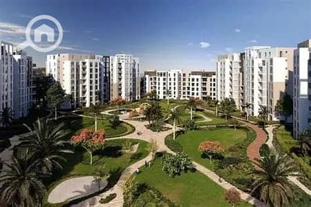 Office for Sale in New Cairo, Cairo - OIP. jpg
