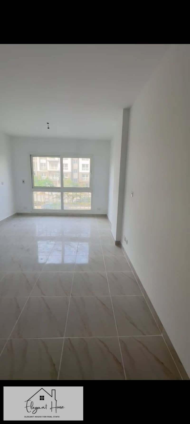 5 504645. jpg
