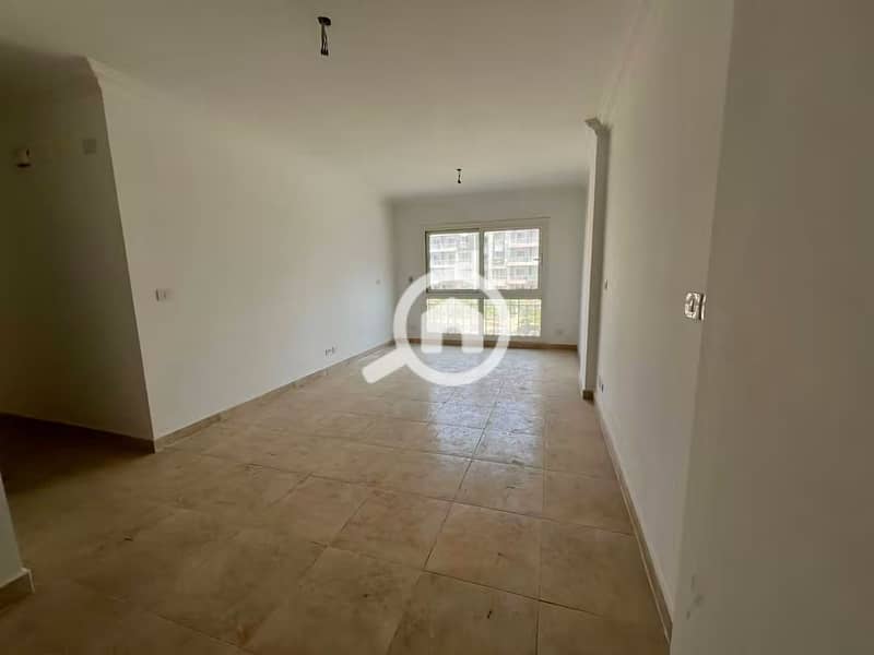 4 162033. jpg