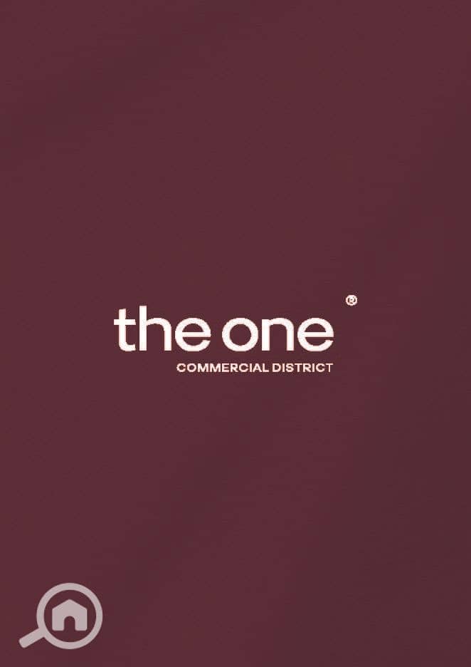 28 The One Brochure (1)_Page_01. jpg