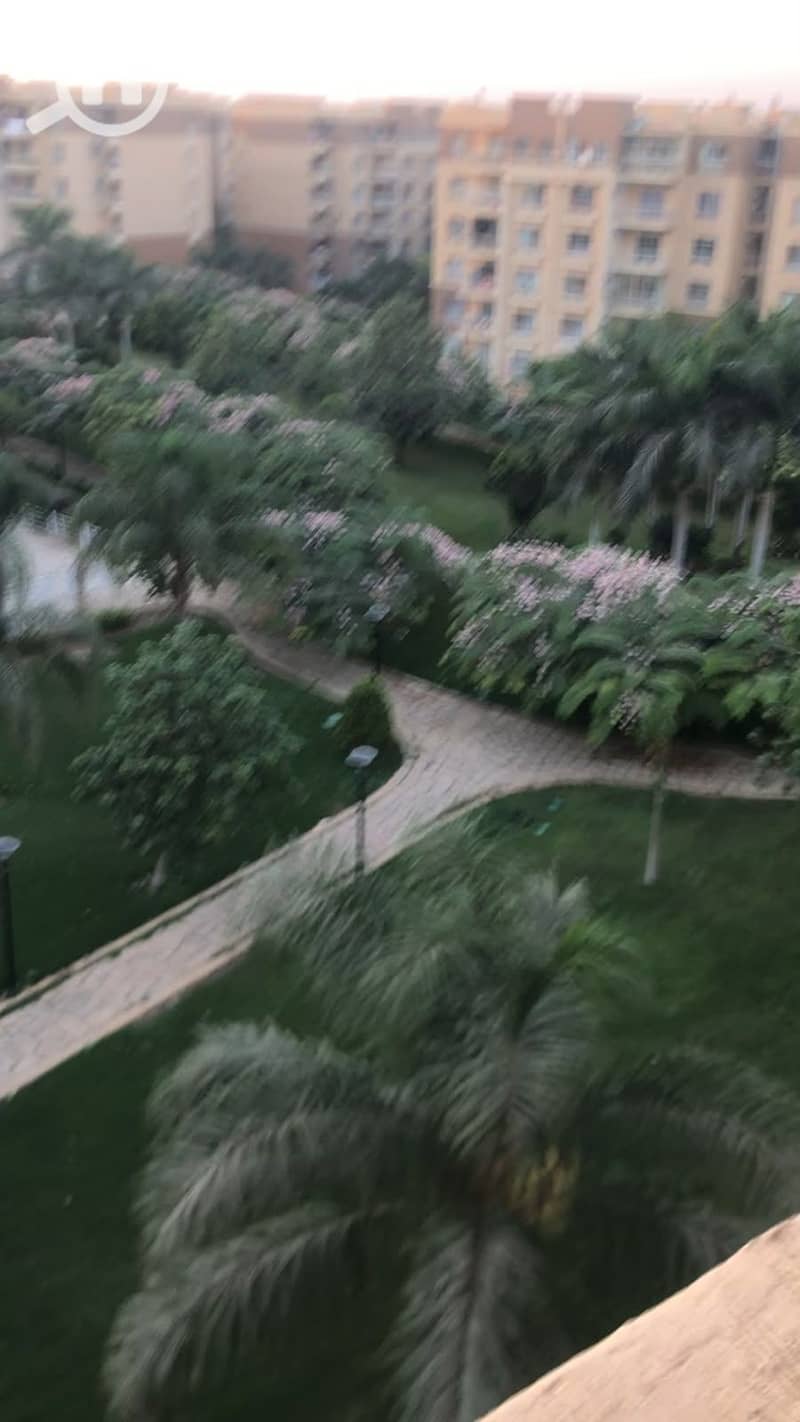 1001268194. jpg 1001268194. jpg