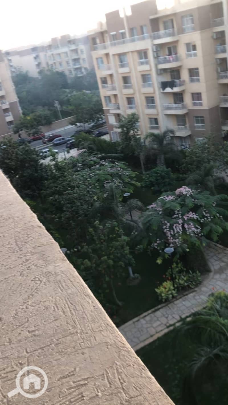 7 1001268196. jpg