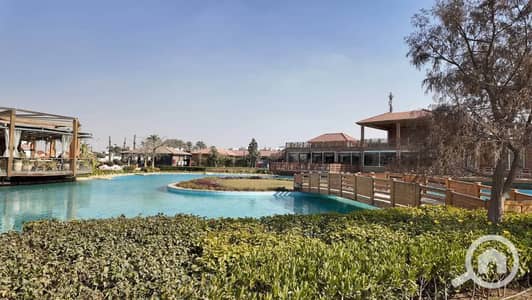 3 Bedroom Apartment for Rent in New Cairo, Cairo - 787023379_3288078264734690_124413373683824499_n. jpg 3 Bedroom Apartment for Rent in New Cairo, Cairo - 787023379_3288078264734690_124413373683824499_n. jpg