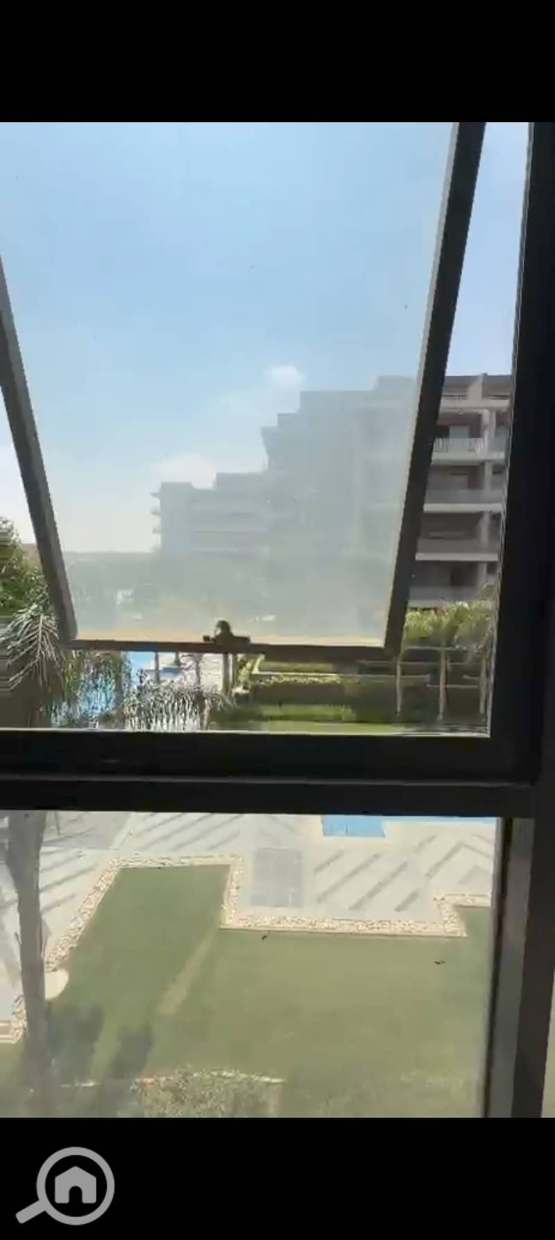 3 124987. jpg