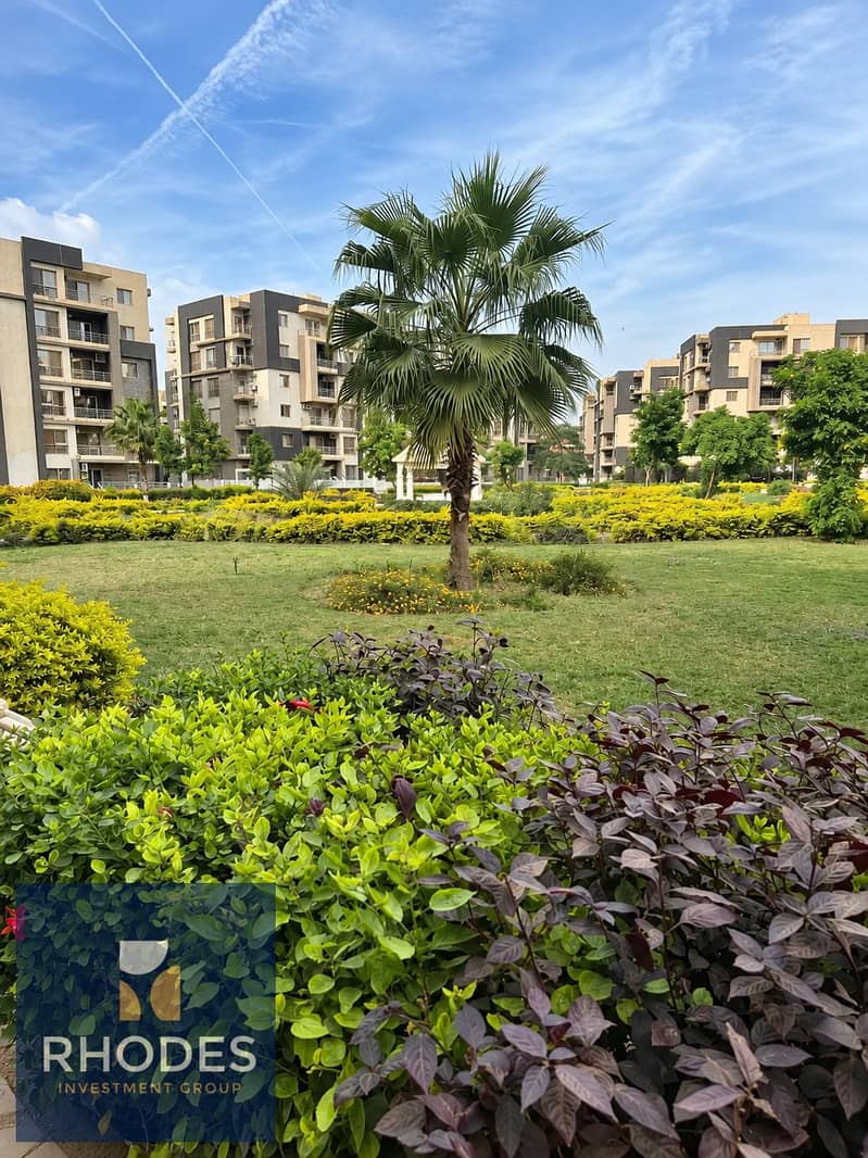 Sunlit Courtyard with Central Palm. png Sunlit Courtyard with Central Palm. png