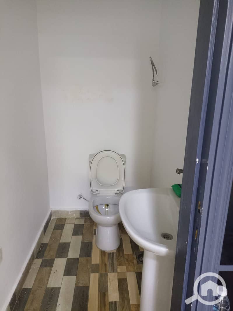3 1004733. jpg
