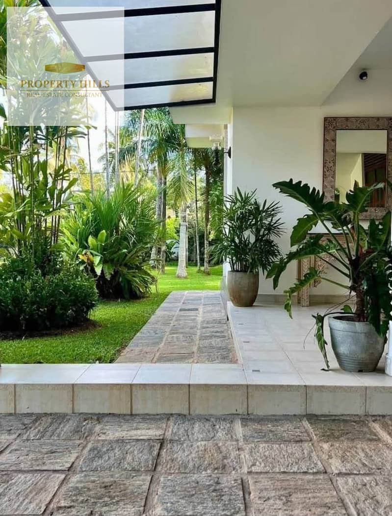 2 353094. jpg