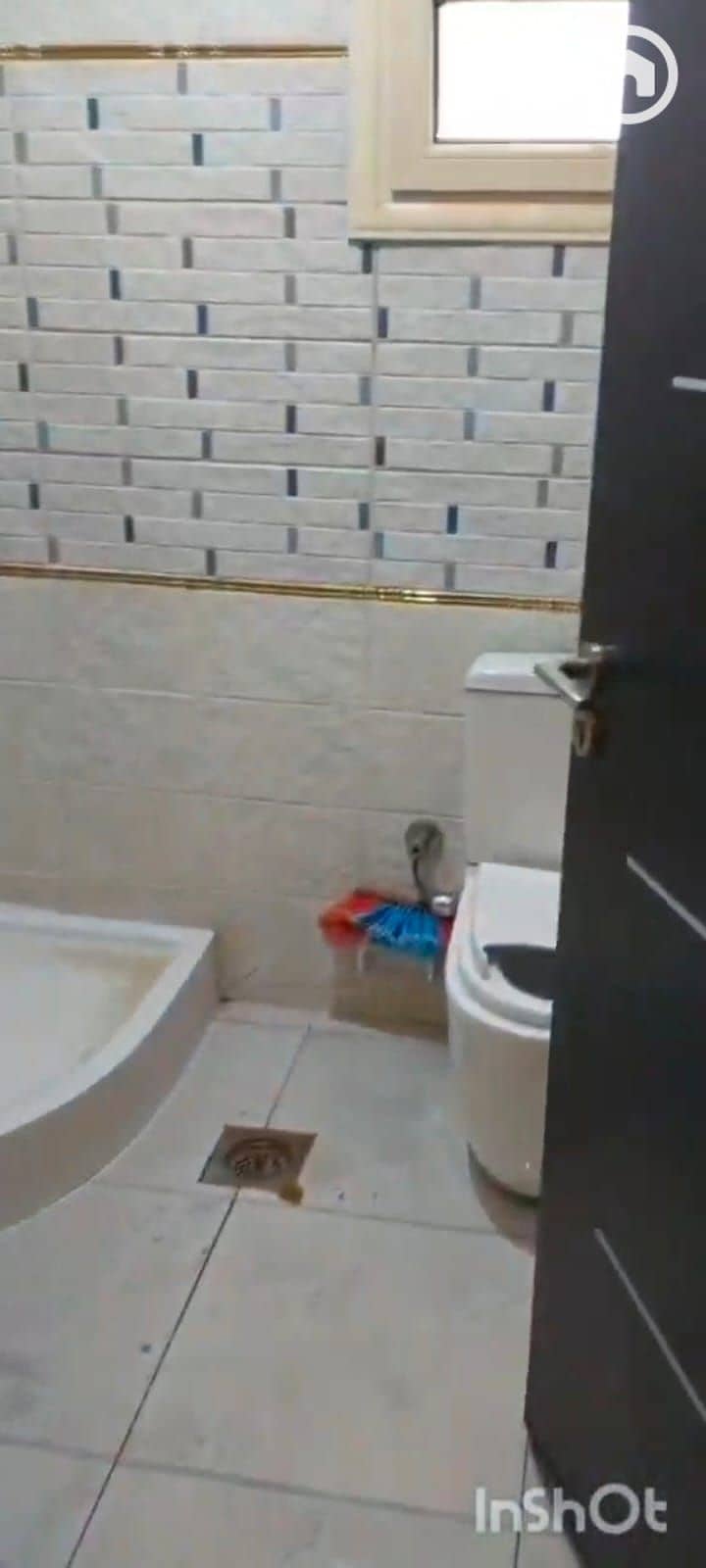 3 1001282169. jpg